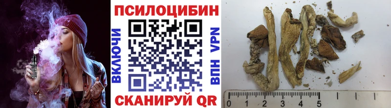 Галлюциногенные грибы Magic Shrooms Полярный