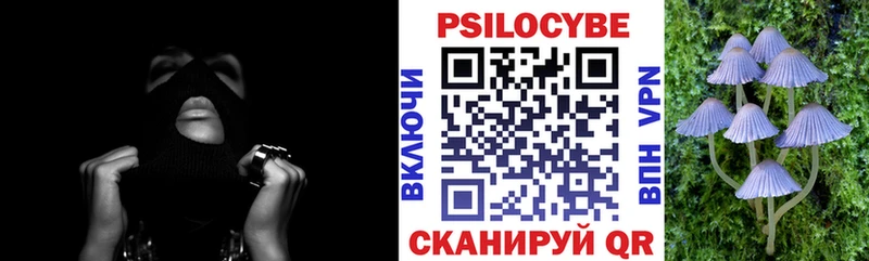 где найти наркотики  Полярный  Псилоцибиновые грибы ЛСД 